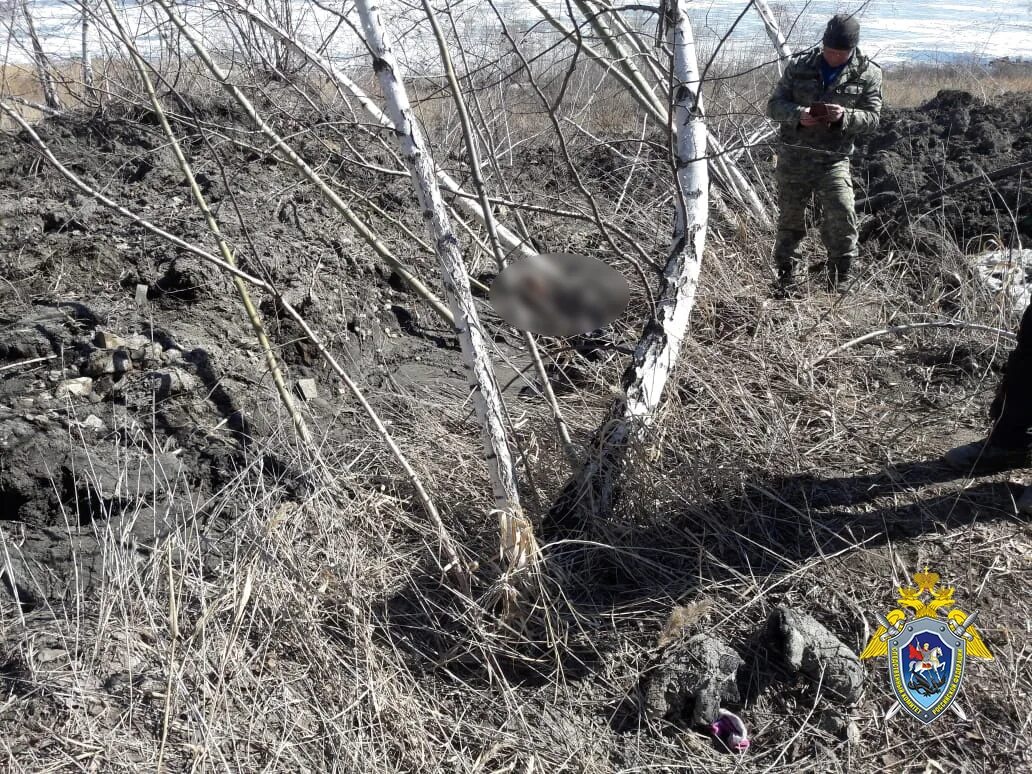 Пропавшие найдены погибшими. Останки пропавших людей. Тело мужчины нашли в лесополосе Ульяновская область.