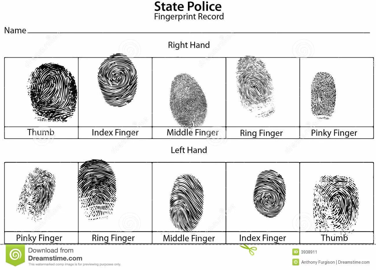 Sectionname ru настройки отпечатков профилей en fingerprints. Дактилоскопия. Дактилоскопия криминалистика. Finger Print Crime Police. Карточка дактилоскопии.