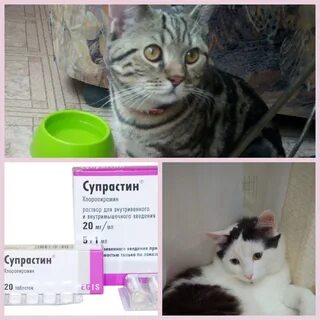 Супрастин сколько коту