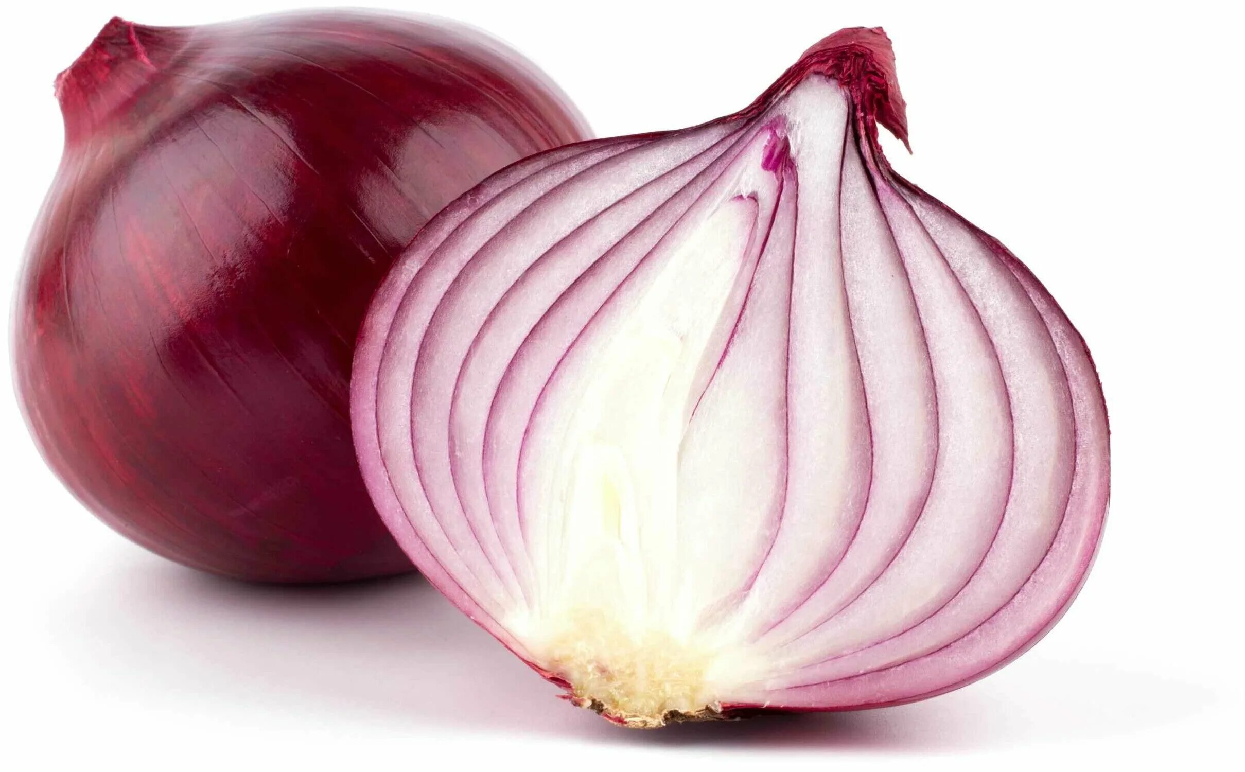 лук цибуля. арзамасский лук севок. лук-севок розанна (розовый). лук-севок ред барон. лук-севок ред барон.