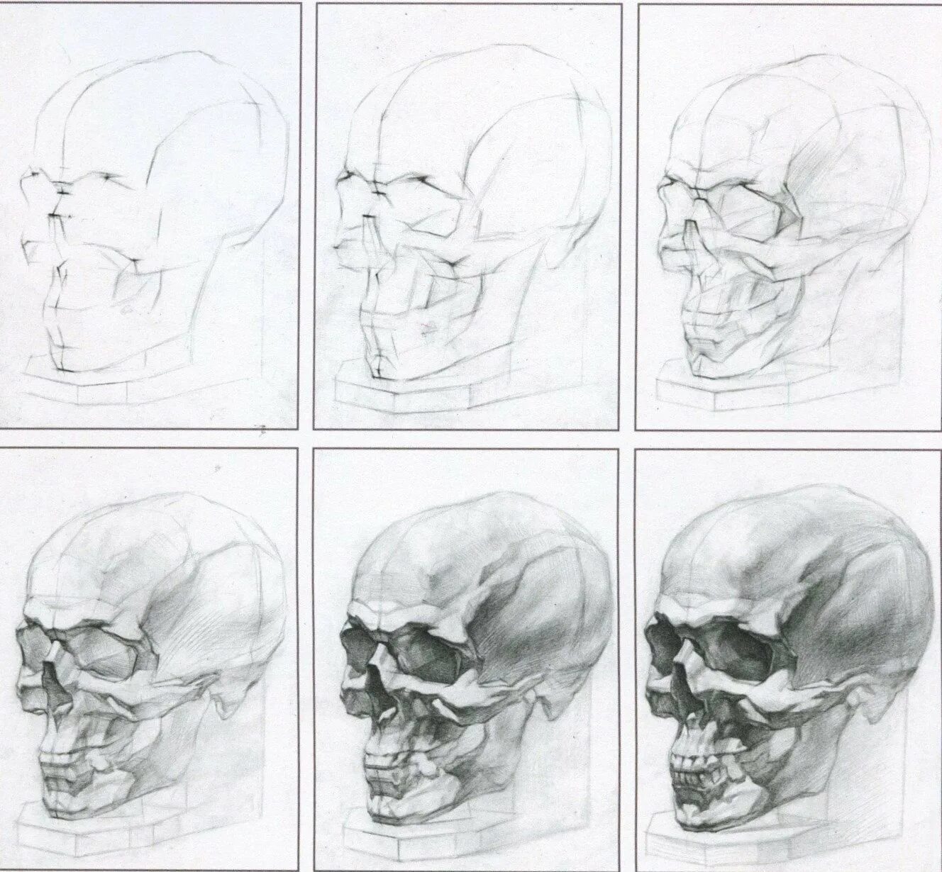 Академический рисунок уроки. Череп человека Готфрид Баммес. Обрубовка черепа Академический. Анатомия черепа человека Баммес. Готфрид Баммес анатомия носа.