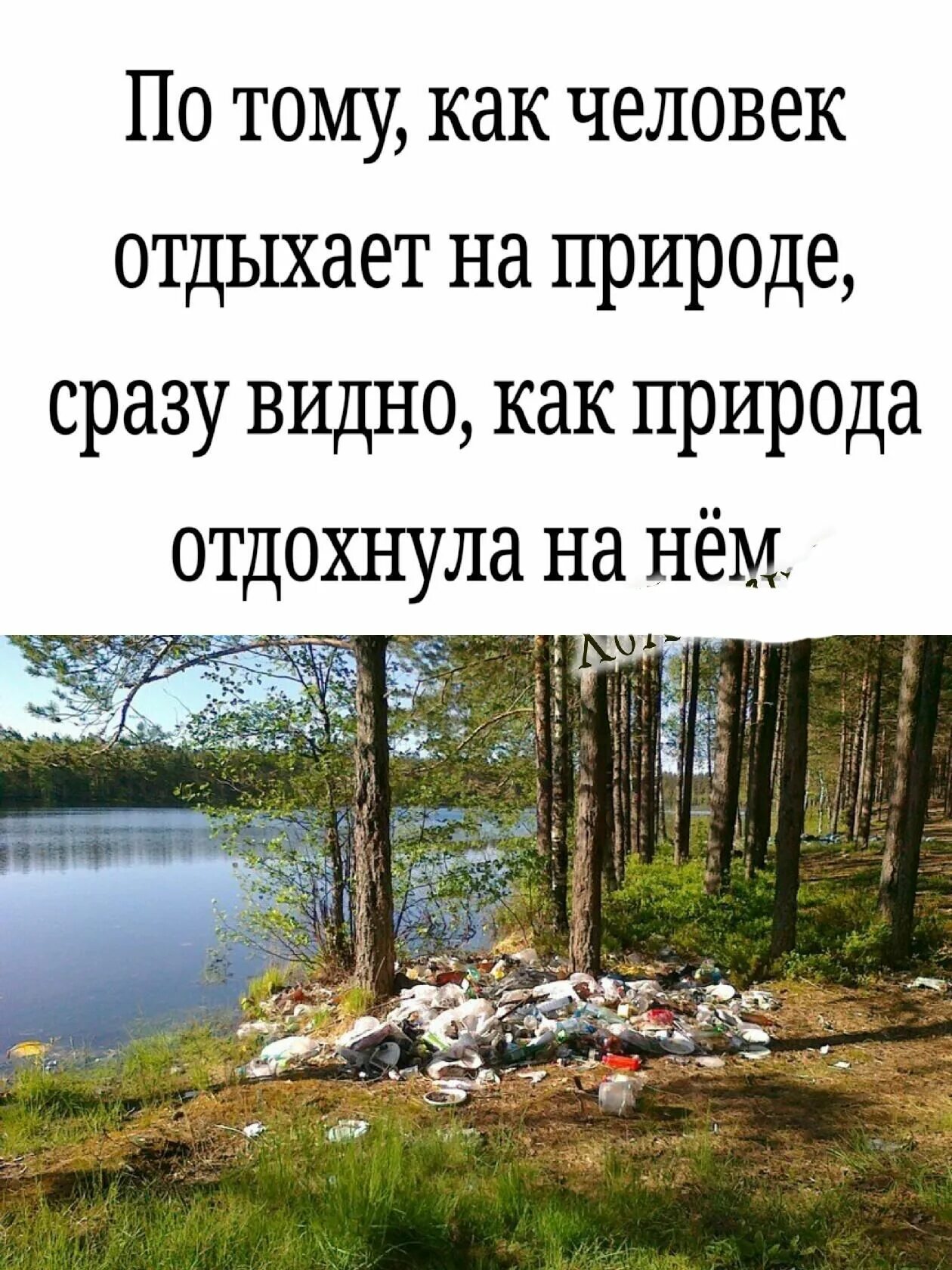 Пикник с семьей на природе. Активный отдых на природе. Семья лето. Чем полезен отдых на природе устное. Чем полезен отдых на природе устное.