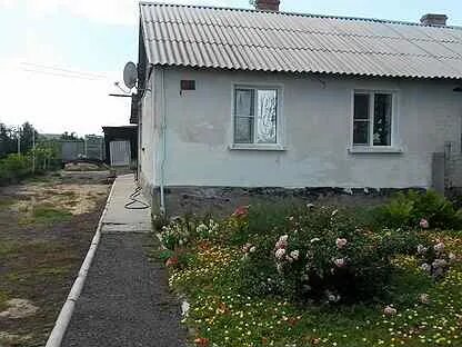 Погода устье воронежская область хохольский