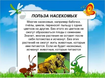 Презентация для детей 4 5 лет на тему насекомые