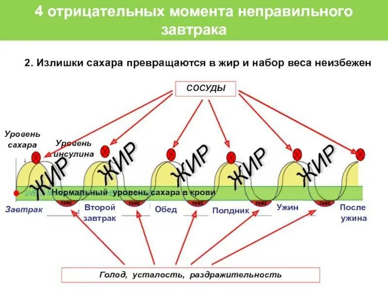 Избыток углеводов превращается. Во что превращается сахар в организме. сахар превращается в жир. как сахар превращается в жир в организме человека. превращение сахара в жир.