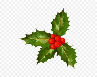 Holly