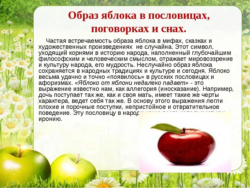 Текст про яблоко. Образ яблока в литературе. Интересное о яблоках. Яблоко для презентации. Интересные факты о яблоне.