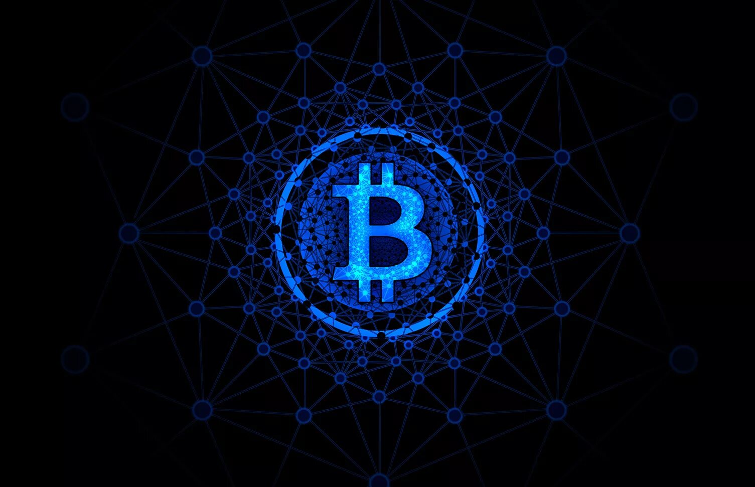 Network крипта