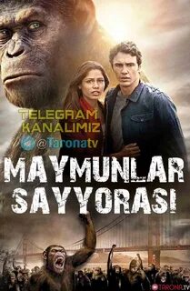 Маймунлар сайораси узбек