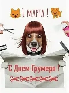 С днем грумера поздравления