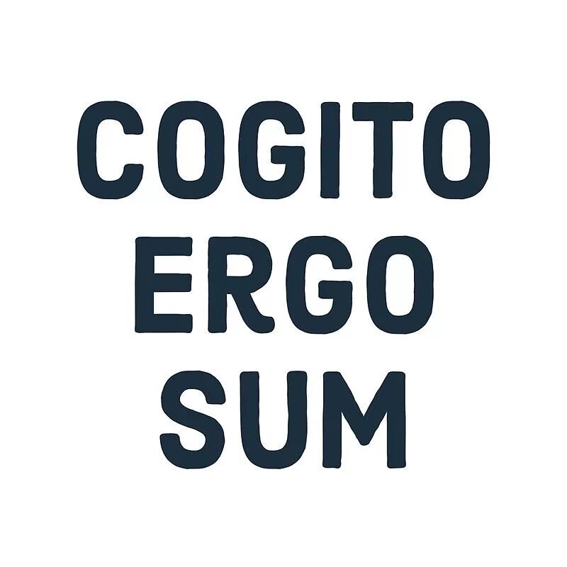 Cogito ergo sum мыслю следовательно существую. Эрго сум. cogito ergo sum. эго когито эрго сум. рене декарт когито эрго сум.