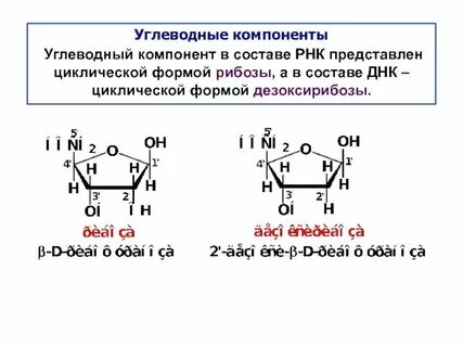 Элементы входящие в состав продуктов