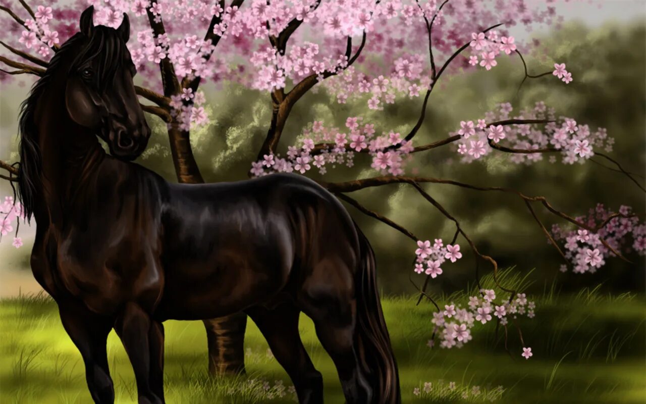 Красивые лошади. Очень красивые лошади. Картинки лошадей. Красивые рисунки лошадей.