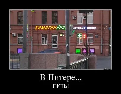 Юмор спб