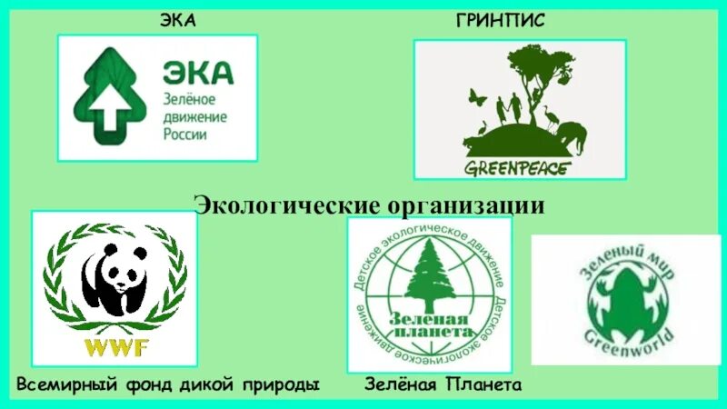 Региональные экологические организации. Экологические организации. Экологическое движение. Экологическая организация зеленые в России. Эмблемы экологических организаций.