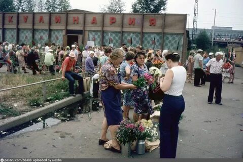 Вышла 1980 году