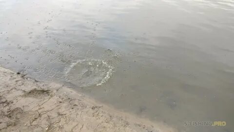 Сброс москва реки