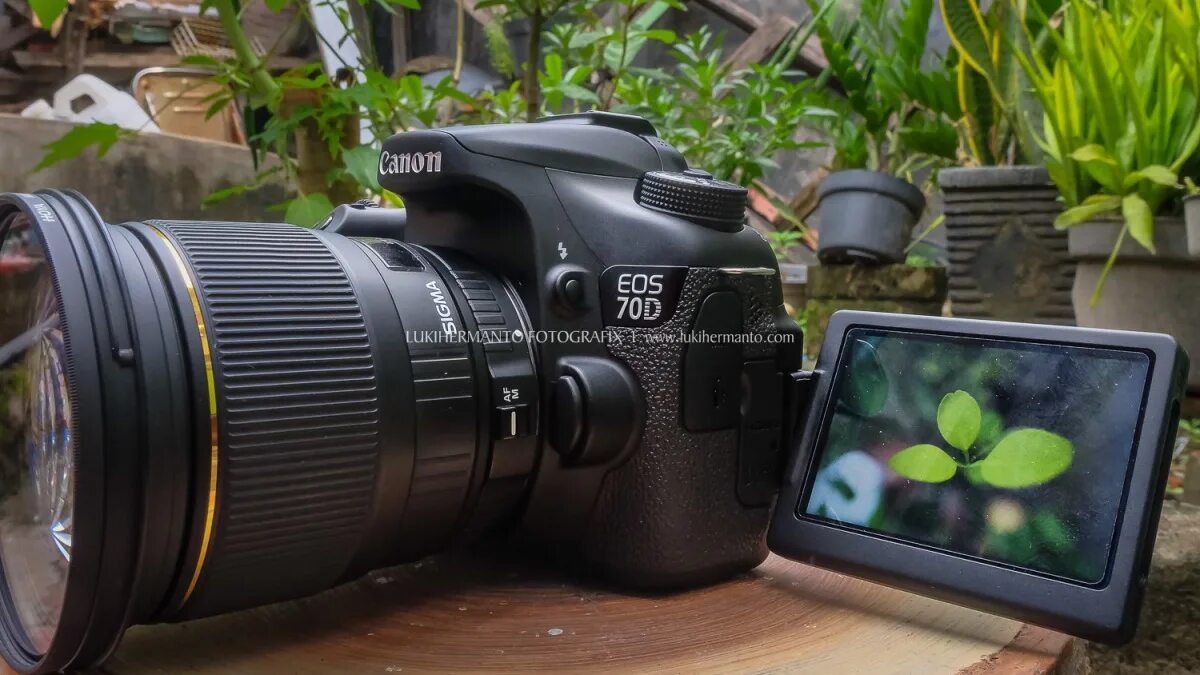 Fotografix. Как установить программу по коррекции фотографий. Portable программы. Fotografix. Fotografix.