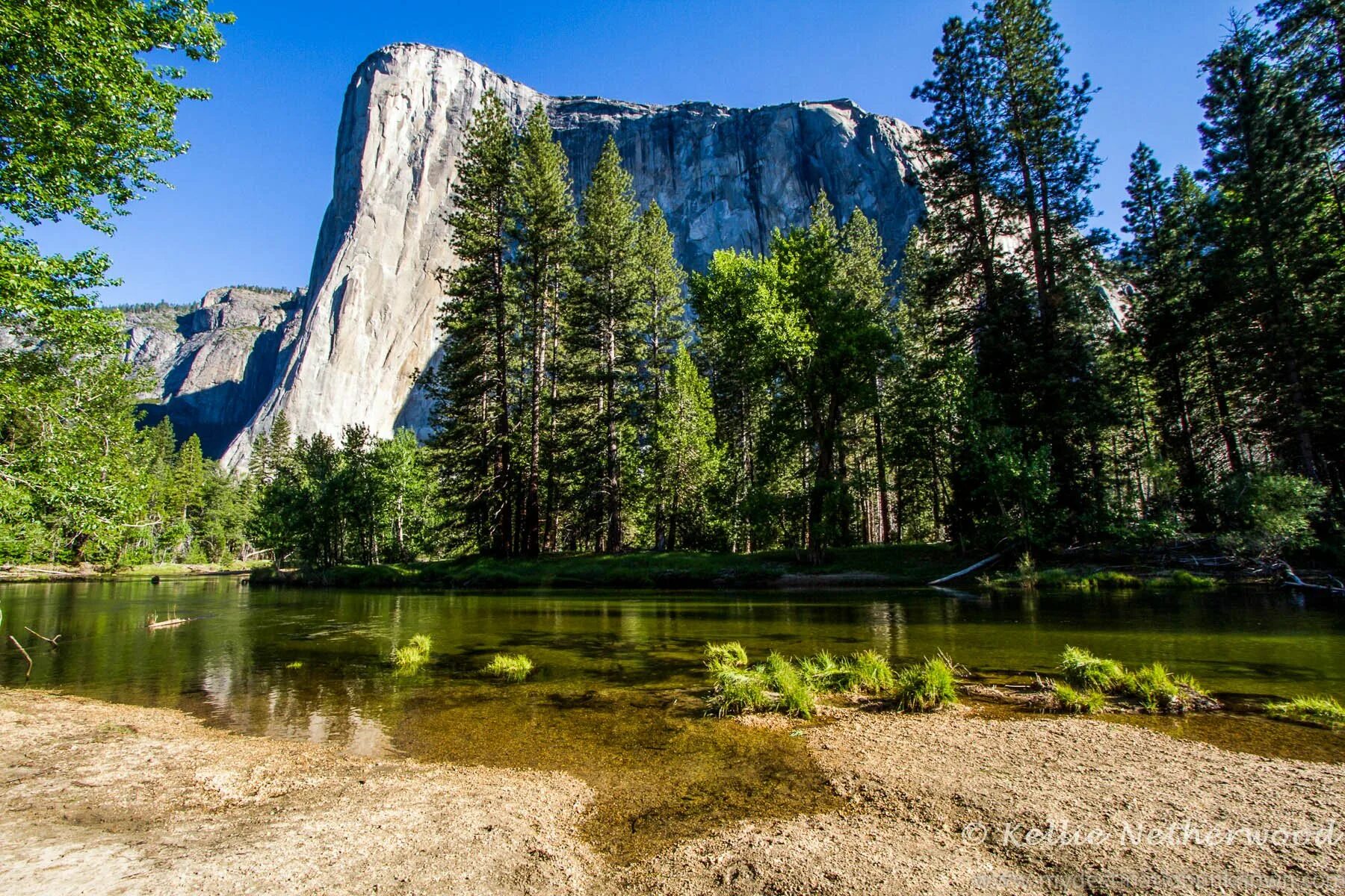 National park usa. Долина Йосемити, США. Йосемити национальный парк. Парк Йосемити Калифорния. Национальный парк Йосемити (штат Калифорния).