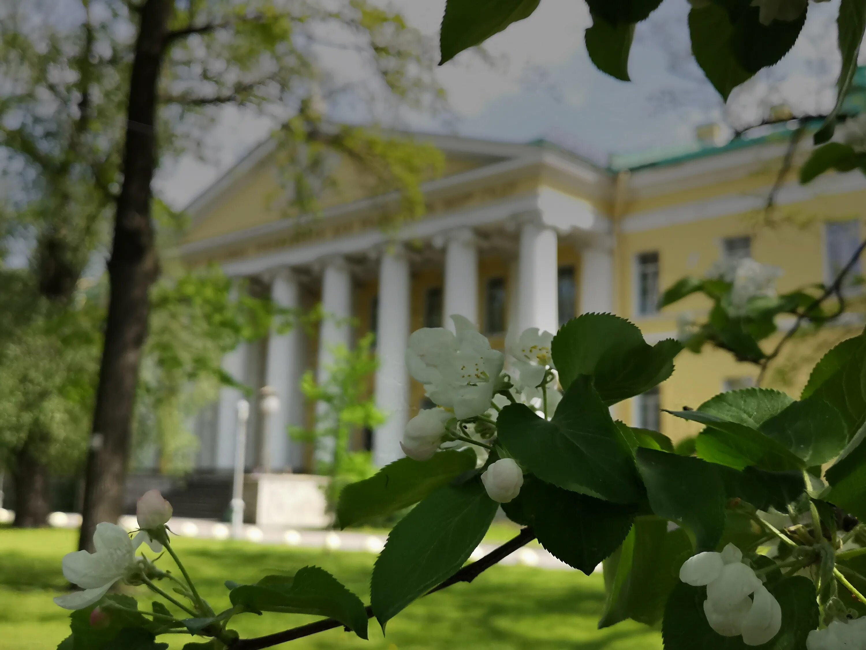 Мариинская больница посещение. Городская мариинская больница. мариинская больница спб. мариинская больница адмиралтейский район. мариинская больница санкт-петербург официальный сайт.