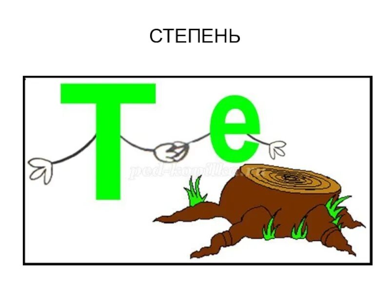 Реши ребус 6. Ребусы по математике 6. ребус по математике корень. ребус т е пень. ребусы с математическими корнями.
