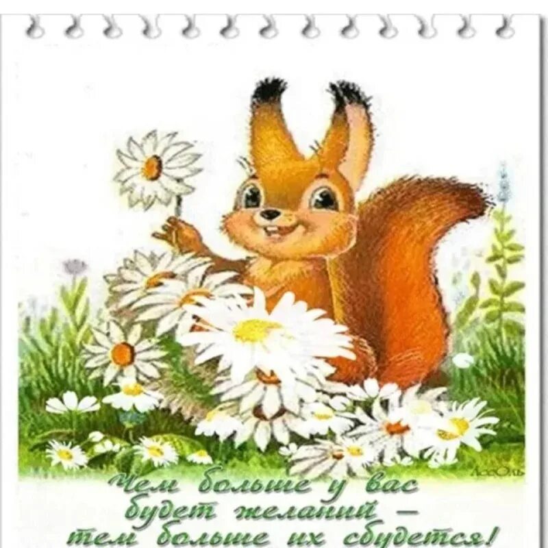 с днем рождения белка. поздравления с днём рождения с белкой. открытка с днём рождения с белкой.