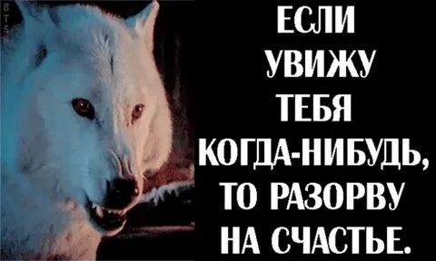 Когда закончится доброта на домашнем канале