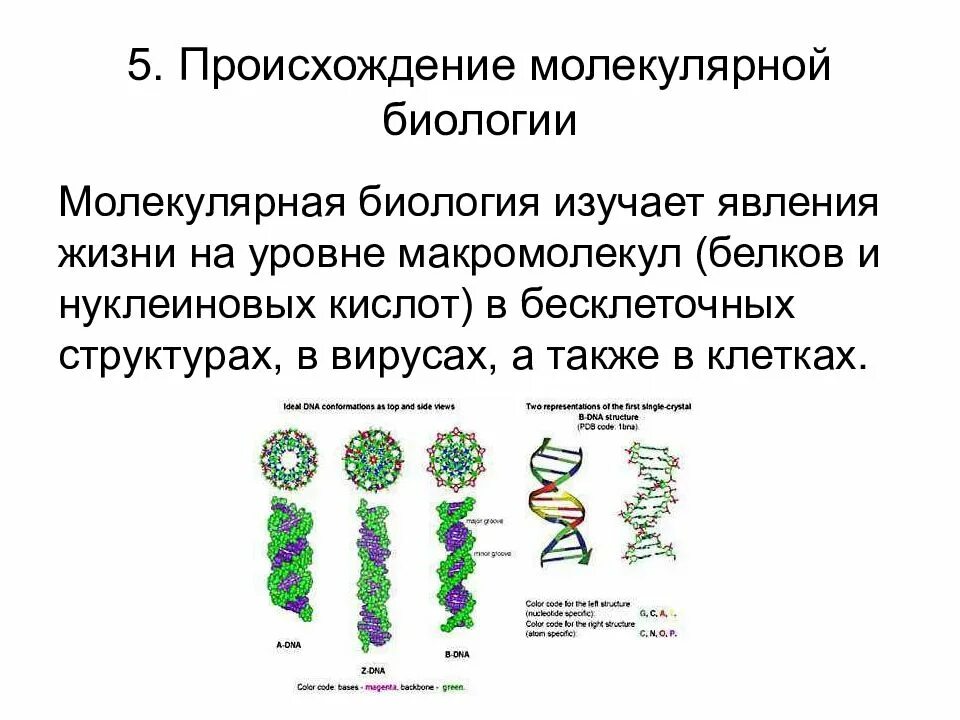 Контрольная работа по теме молекулярный уровень