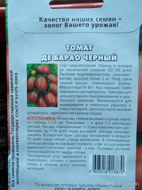 Томаты жрица описание сорта отзывы. Томат де Барао смесь. Помидоры де Барао описание сорта. Де Барао черный томат описание. Де Барао черный семена.