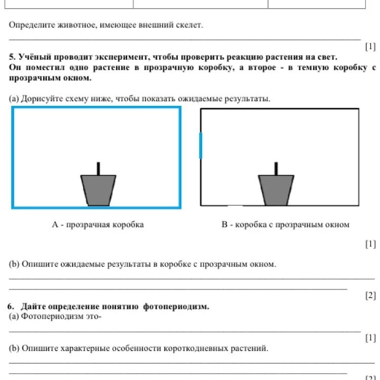 На изображенном рисунке проводится опыт экспериментатор поместил. Ученый проводит эксперимент. реакция растений на свет. ученые провели эксперимент. он поместил одно растение в прозрачную коробку.