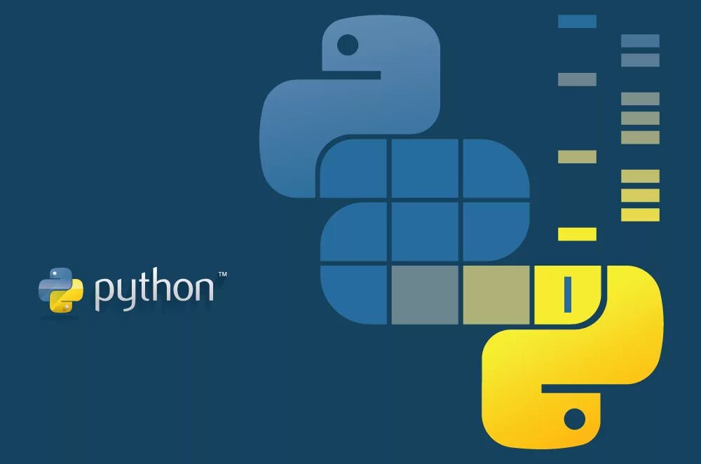 Python 3 library. Python. Питон программирование. Python картинки. Питон логотип.