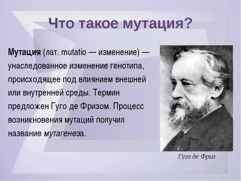 Когда происходит мутация. Мутации возникают внезапно. Где происходит мутация. Мутационные факторы. Последствия влияния радиации на человека.