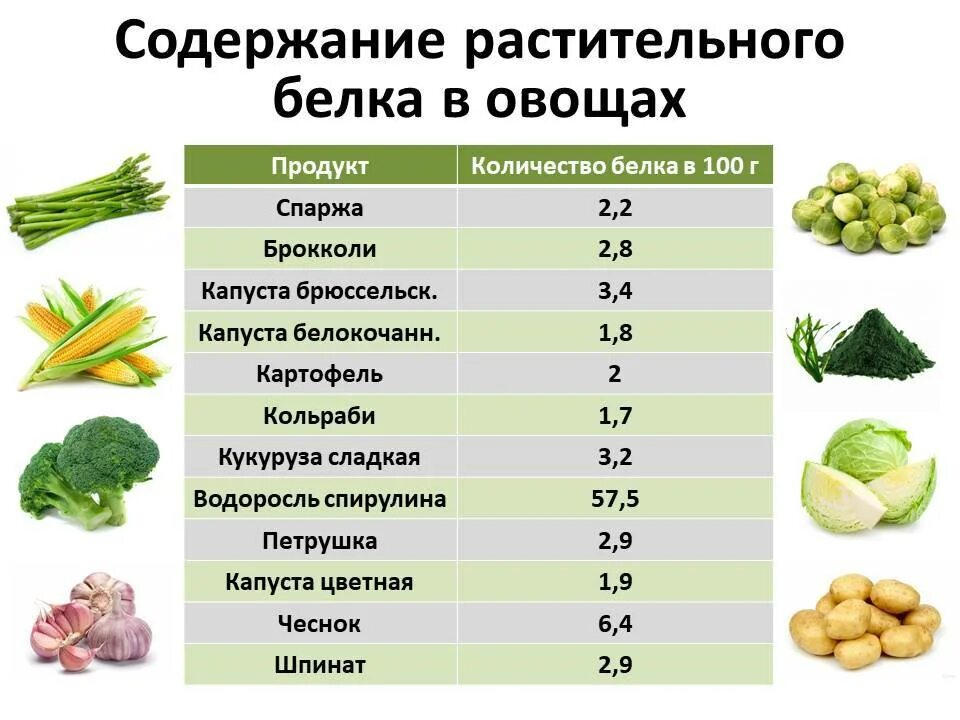 Количество белка в растительных продуктах