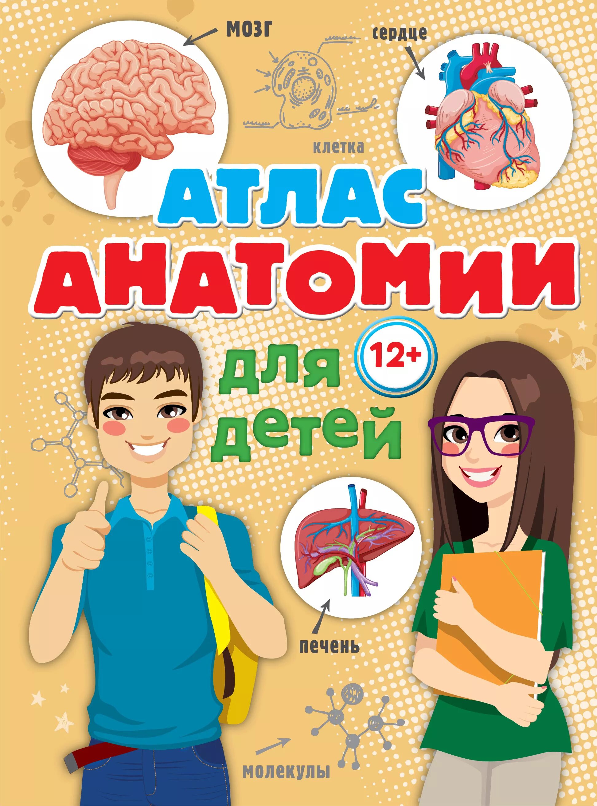 Анатомия детская книга. Анатомия для детей. атлас анатомии для детей. книга анатомия человека для детей. атлас тела человека для детей.
