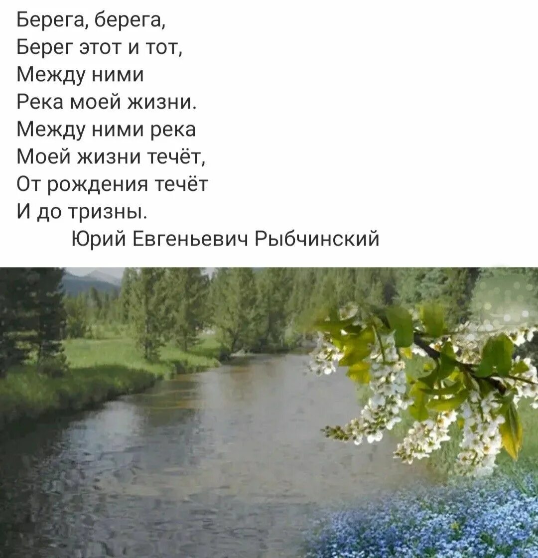 А на том берегу незабудки слушать малинин. Незабудки на берегу реки. А на том берегу незабудки цветут. Ана том берегу незыбудки цветут. У реки расцвели незабудки.