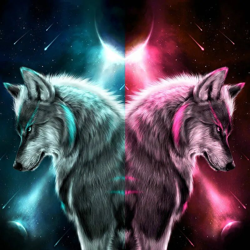 Синий волк. Волк обои. Неоновый волк. Мистические волки.