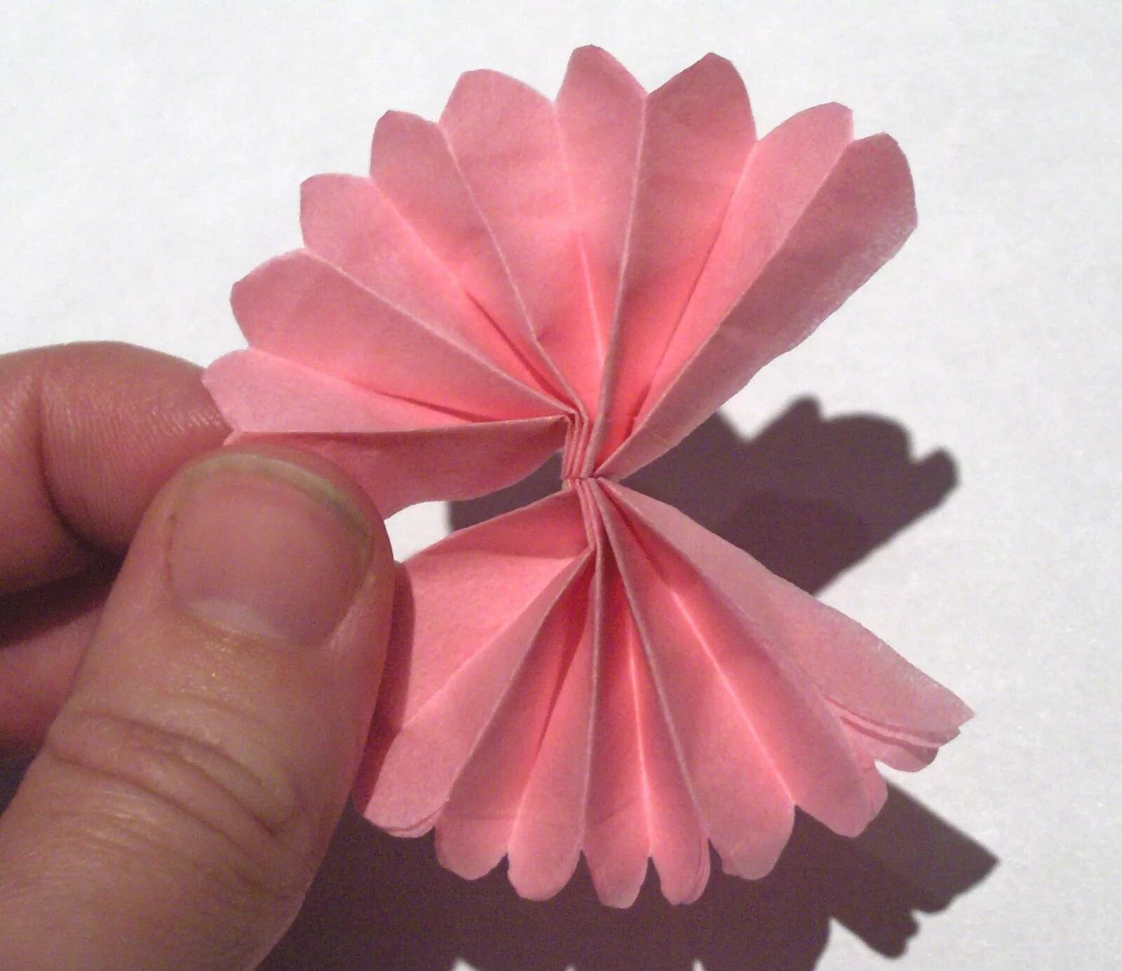 Сделать цветок из бумаги своими руками легко. Цветок из бумаги простой. Легкие цветочки из бумаги. Легкие цветы из бумаги из гармошки. Мастер класс цветы из бумаги легкие.