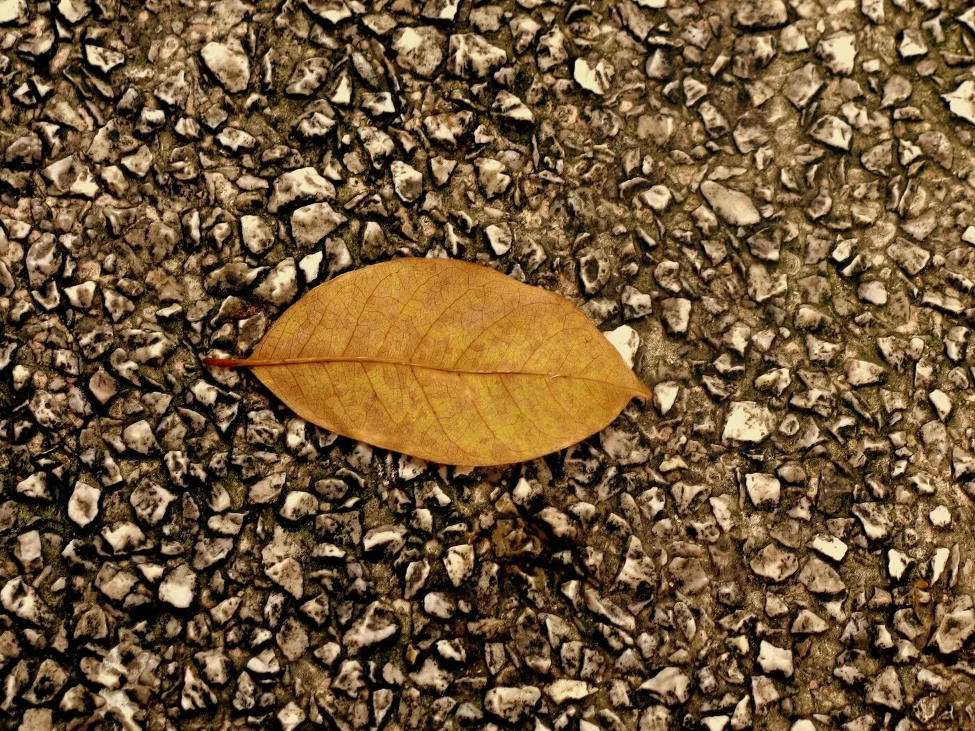 Leaf stone. Листок из камня. Листок на Камне. Фон для рабочего стола листья. Листочки из камней.