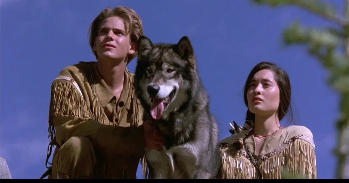 Волк кину. Волк кину. Сумерки джейкоб волк. Мой волк 2022. Волк кину.