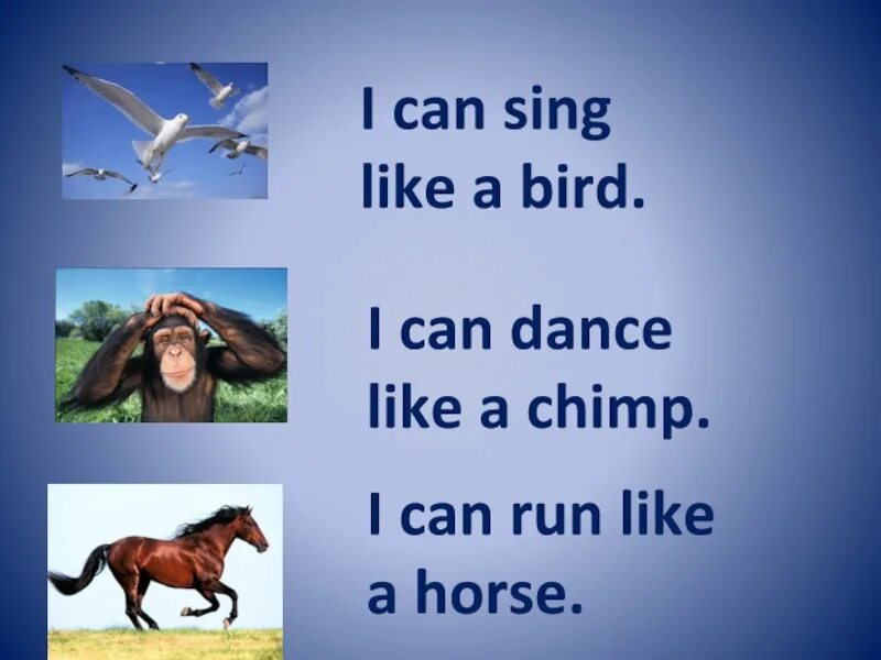 Like sing bird can a i составить. I can sing like a bird. i can run like a horse. стих can. картинка a bird can sing.