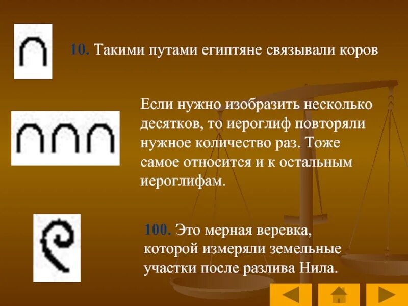 Пут число. Единичная система счисления. системы счисления в информатике 9 класс презентация. такими путами египтяне связывали коров. ребус по информатике на тему системы счисления.