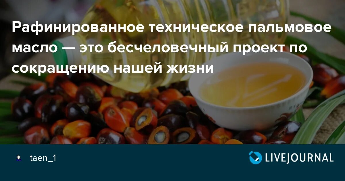 В каких продуктах пальмовое масло в россии. Пальмовое масло. Техническое пальмовое масло. Пальмовое масло в пищу. Рафинированное пальмовое масло.