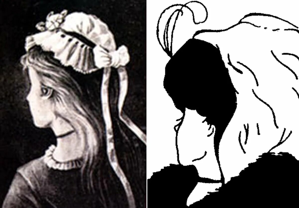 Картинка девушка бабушка. Уильям Эли Хилл опубликовал иллюзию «моя жена и моя тёща». Оптическая иллюзия девушка или старуха.