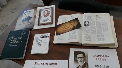 Бабич книга
