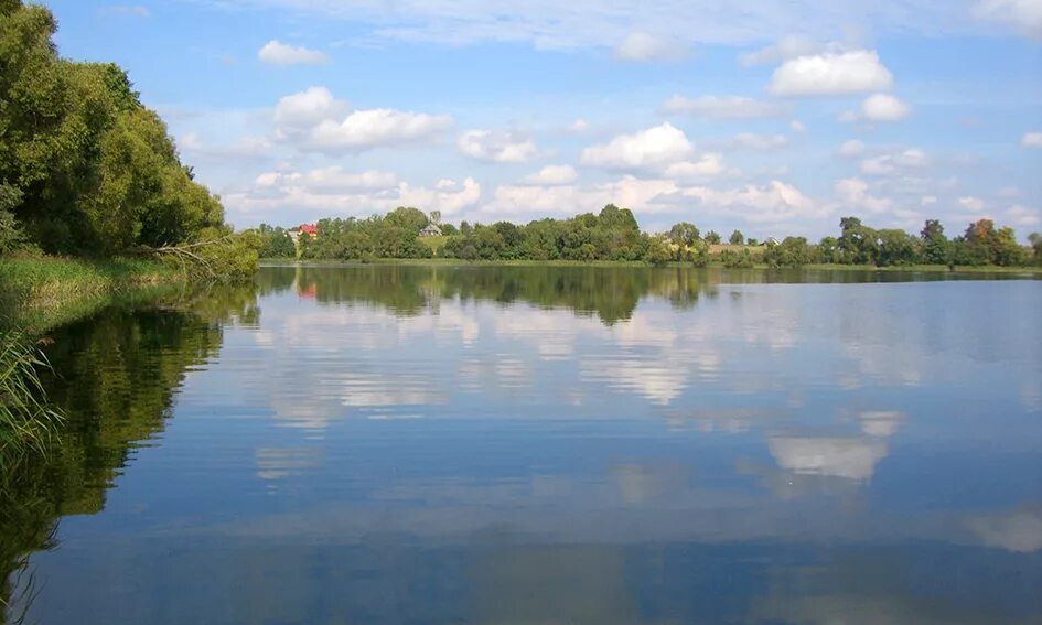 Долгое (озеро, Белоруссия). Озеро долгое Глубокский район. Озеро белое Глубокский район. Озеро глубокое Витебская область.