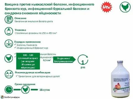 Ньюкасл вакцина инструкция
