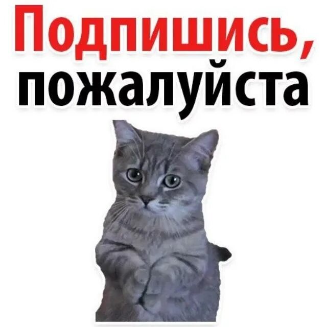 Попроси подписаться. Подпишись пожалуйста. Подпишись на меня. Надпись Подпишись. Картинка Подпишись.