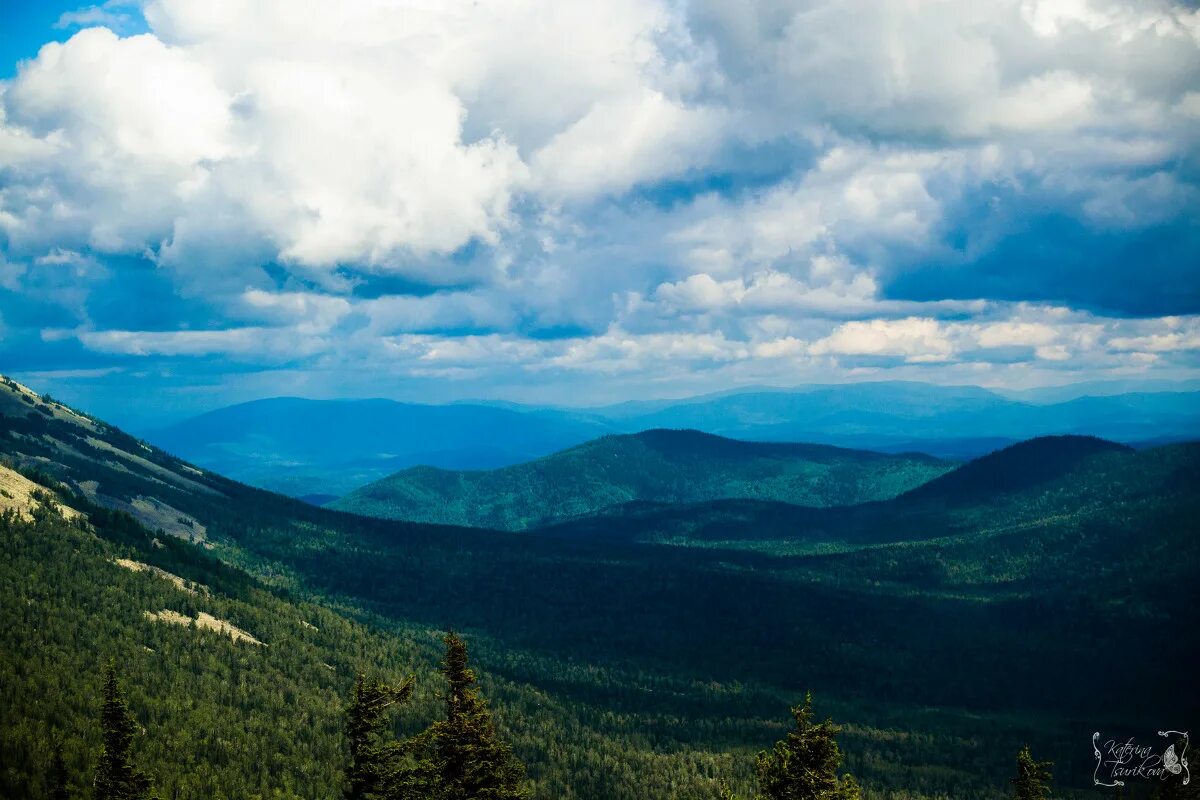 гора зеленая шерегеш летом. гора зеленая горная шория. зелень алтая. шерегеш горы летом. логарская долина словения.