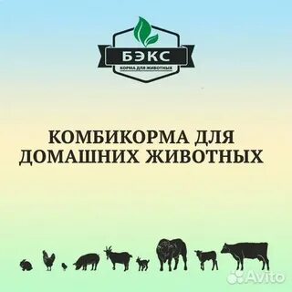 Комбикорм томск
