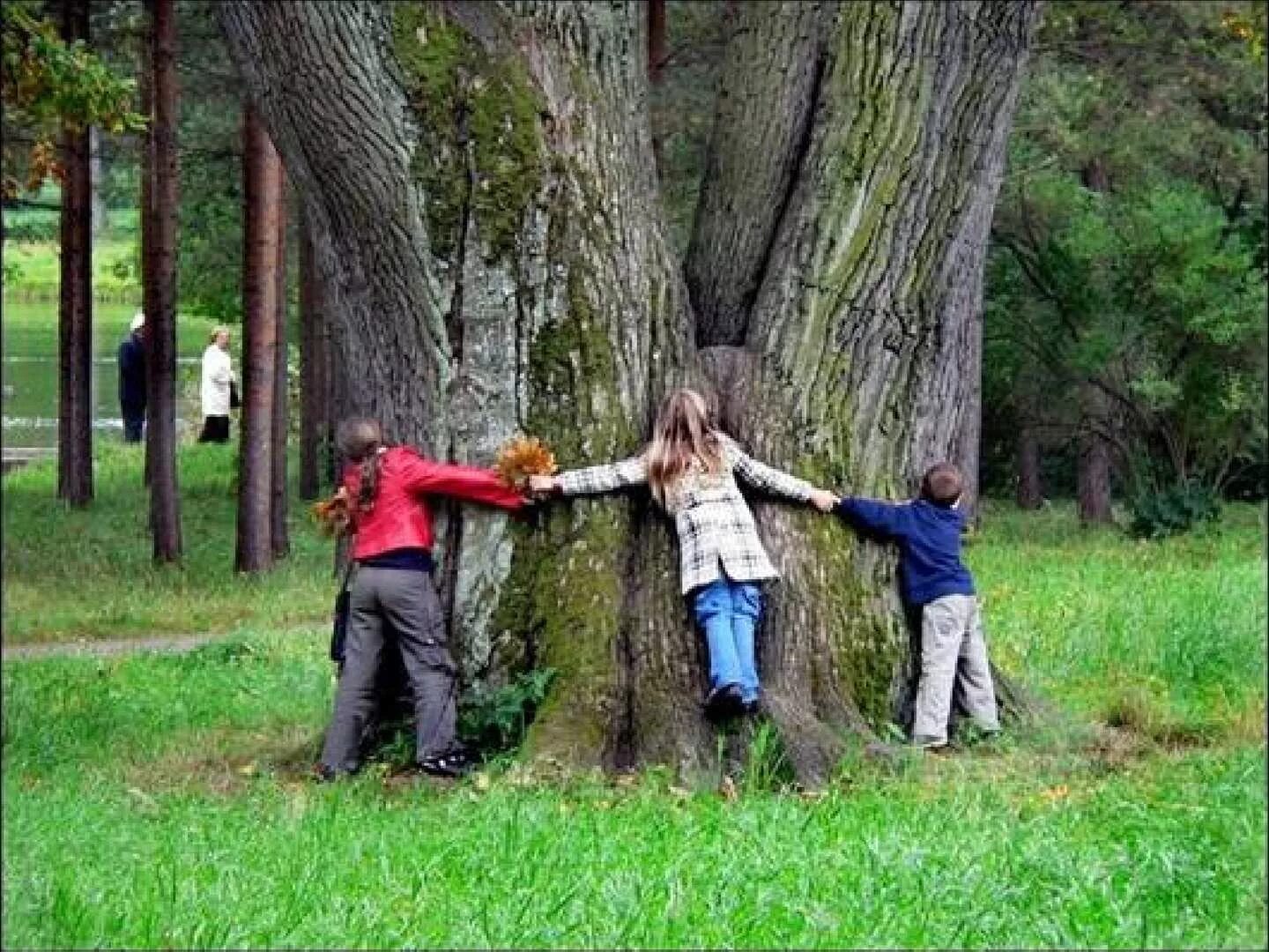 Любовь к природе. Отношение к природе. Бережное отношение к природе. Общение с природой. Природа отношений в организации